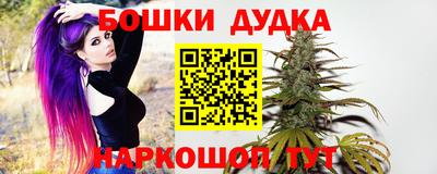 индика Ликино-Дулёво