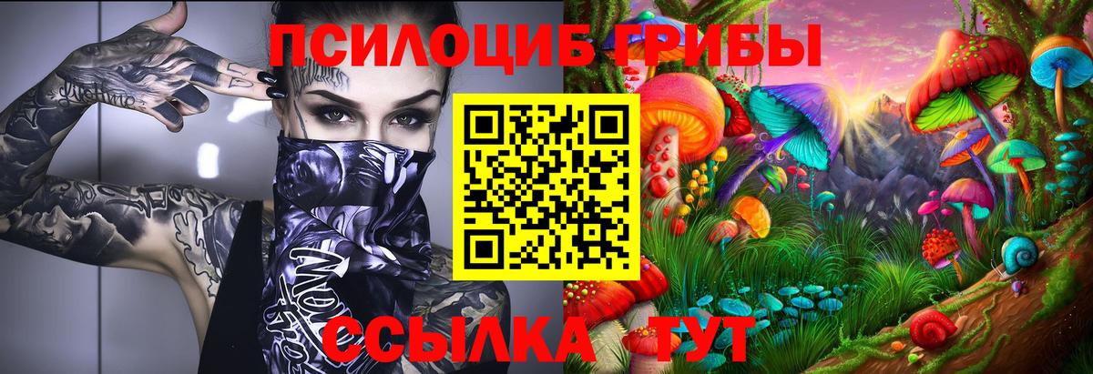 Галлюциногенные грибы Psilocybe  Вход с VPN  хочу наркоту  Ивантеевка 